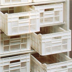Kit de 7 Caixas de Armazenamento, Cestos em Polietileno com Dimensões Individuais de 500x300x175 mm (LxPxA) (transporte incluído) - Refª 102508