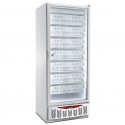 Armário Frigorífico de Congelação Industrial Branco GN 2/1 + 600x400 mm com Porta de Vidro, Arca Vertical com 525 Litros -22º -18º C (transporte incluído) - Refª 102662
